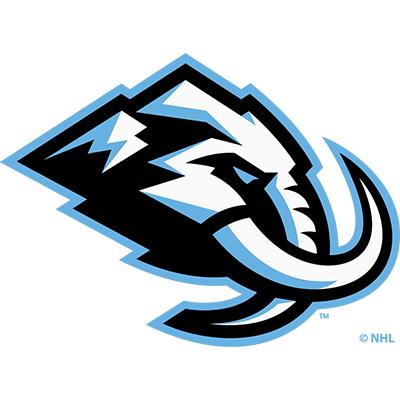 NHL team Arizona Coyotes logo