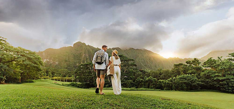 Couple viewed from behind in a scenic field with picnic totes