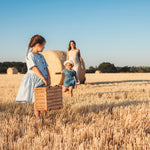 Bristol Picnic Basket