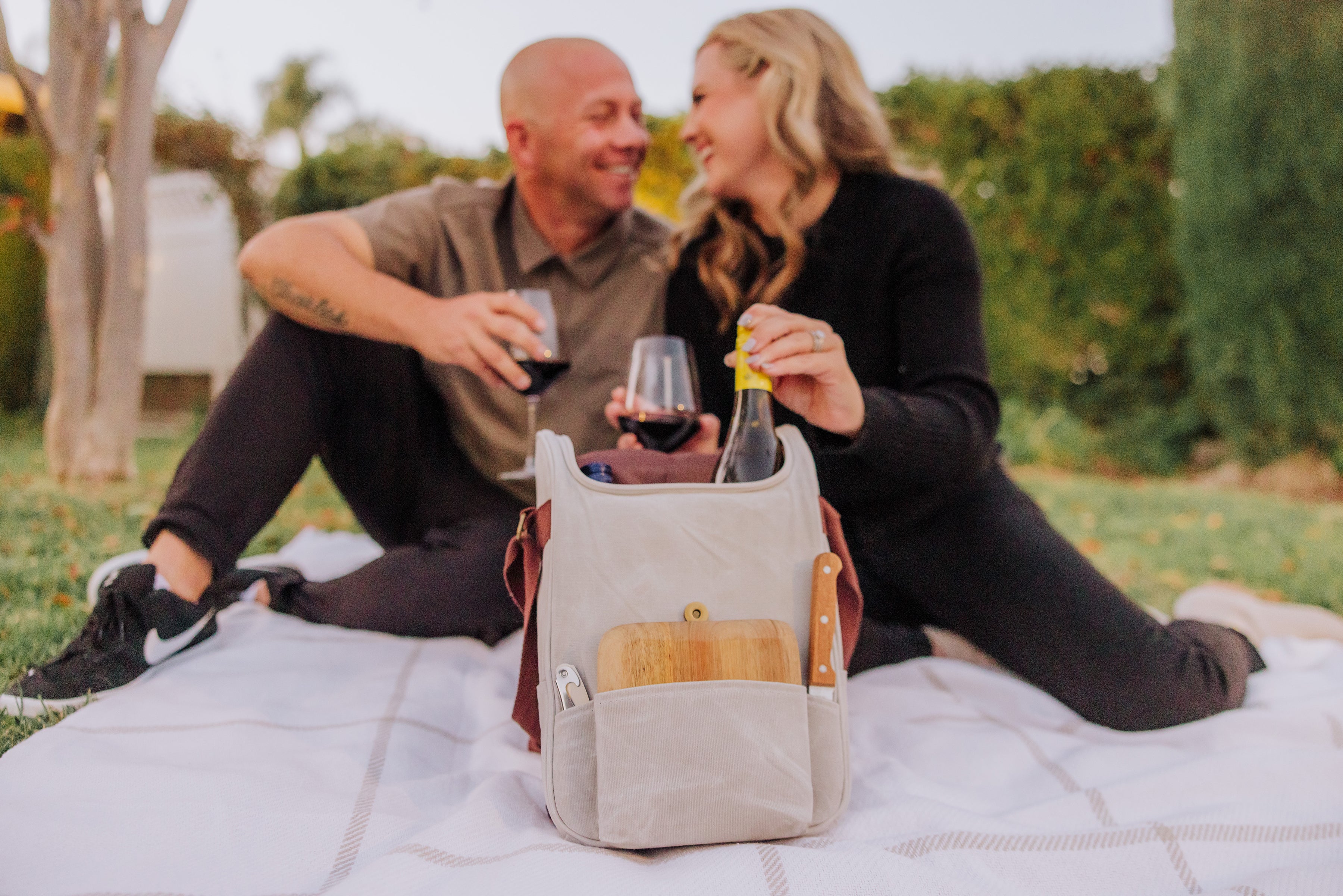 2 Bottle Insulated Wine & Cheese Cooler Tote