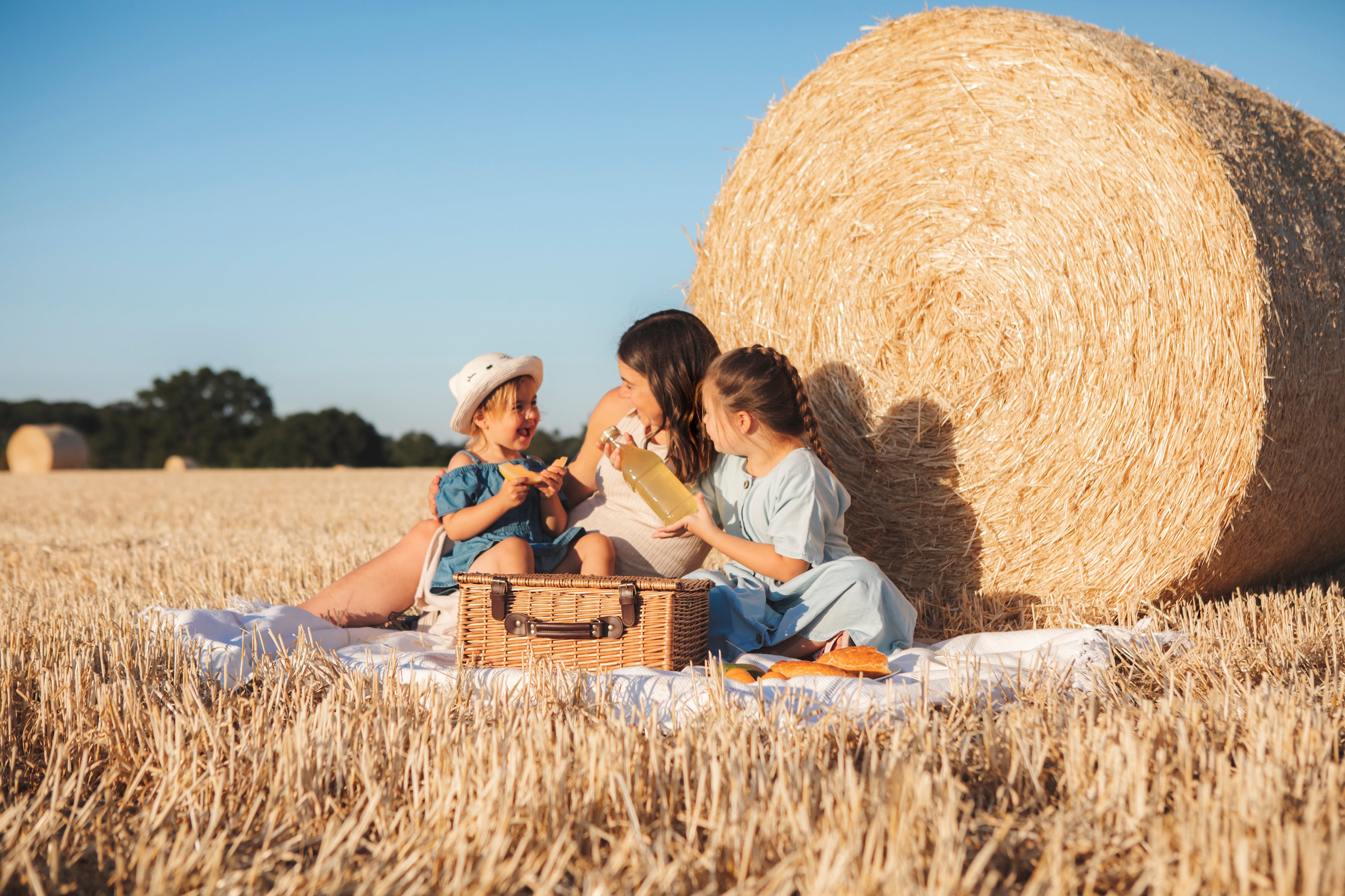 Bristol Picnic Basket