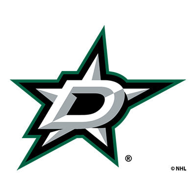 NHL team Dallas Stars logo