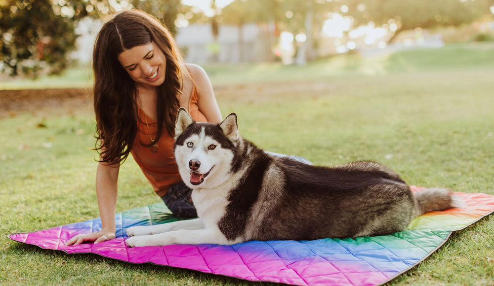 Outdoor Blankets
