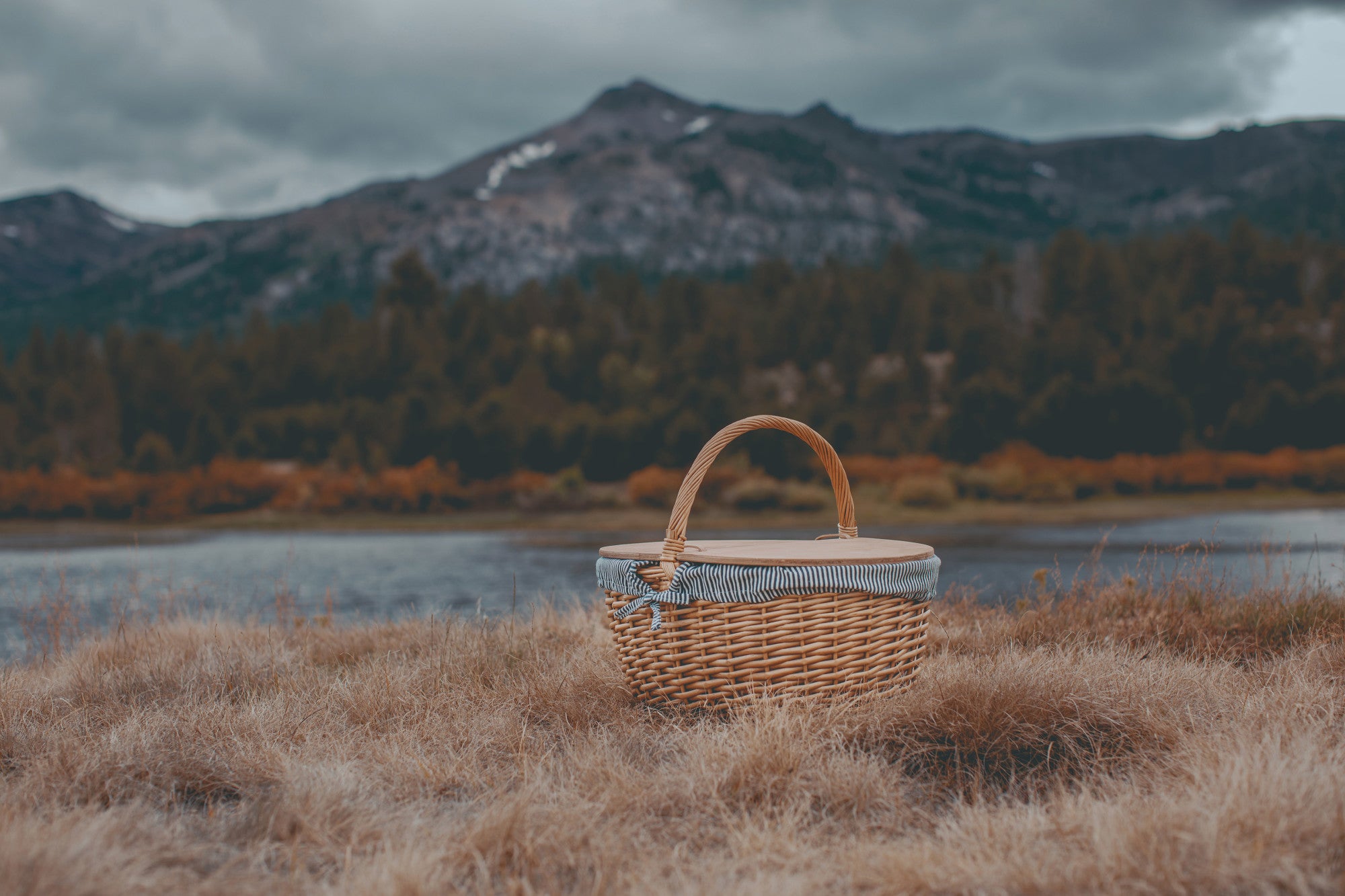 Star Wars - Country Picnic Basket