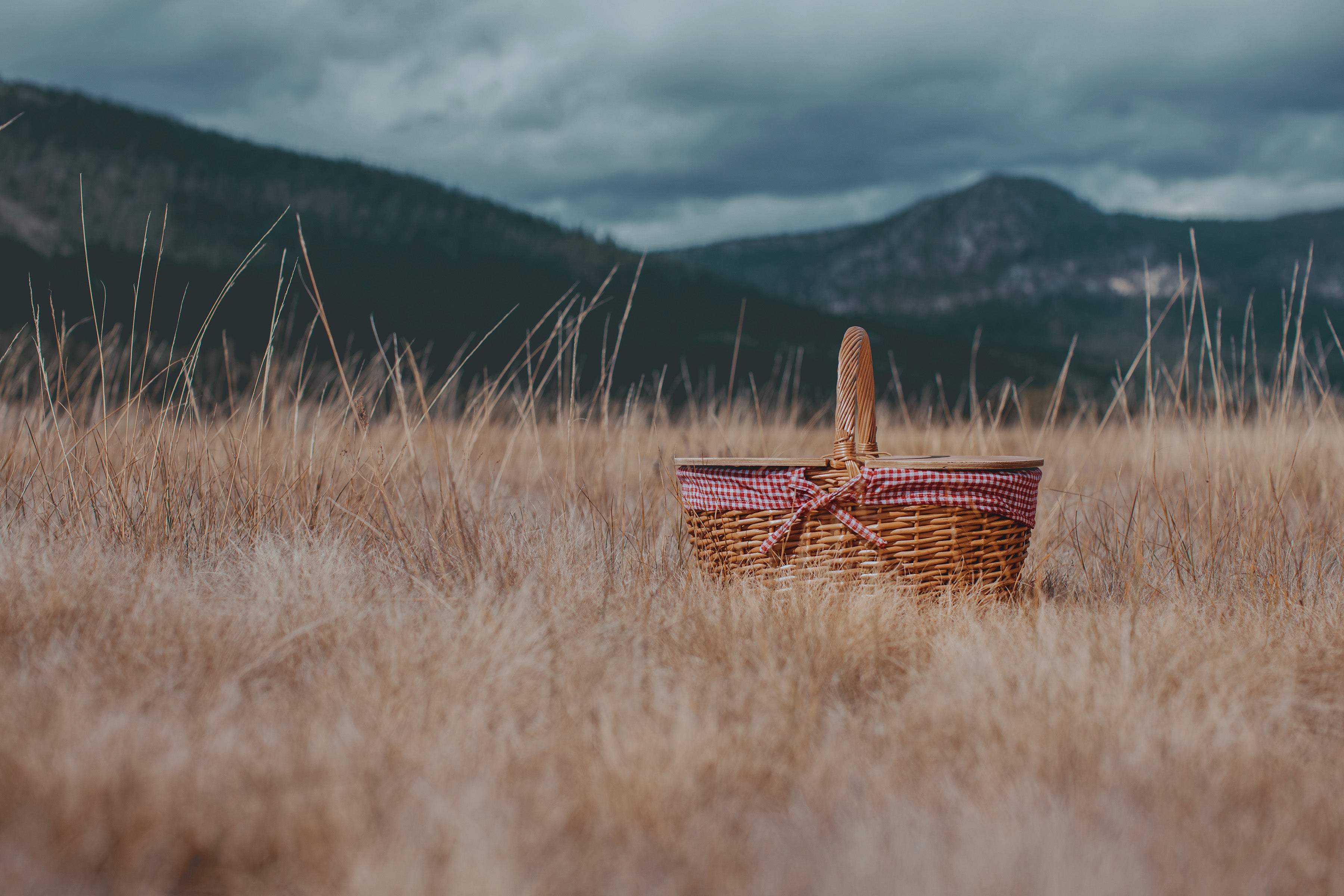 Colorado Rockies - Country Picnic Basket