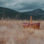 Detroit Tigers - Country Picnic Basket