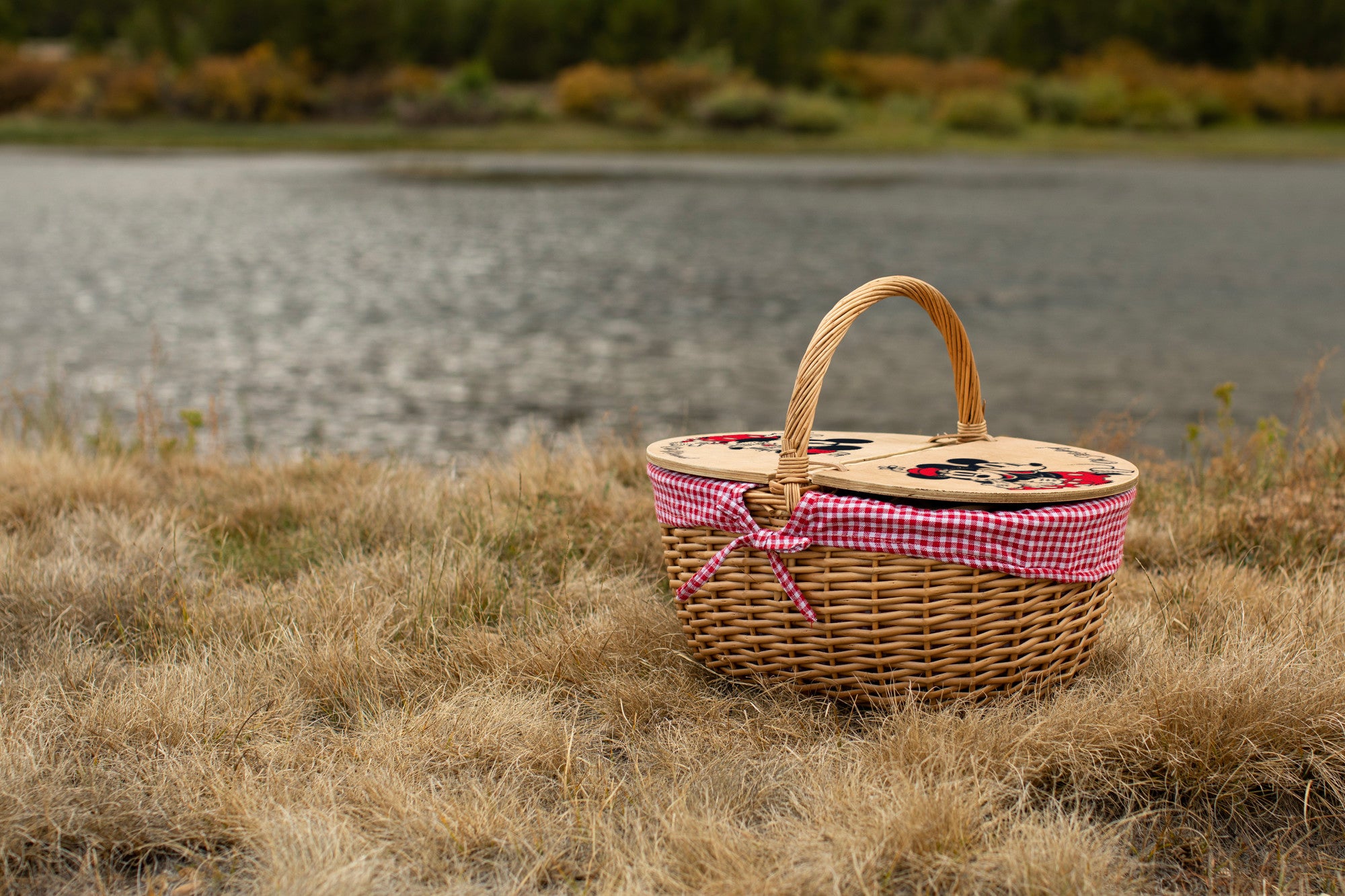 Mickey & Minnie Mouse - Country Picnic Basket