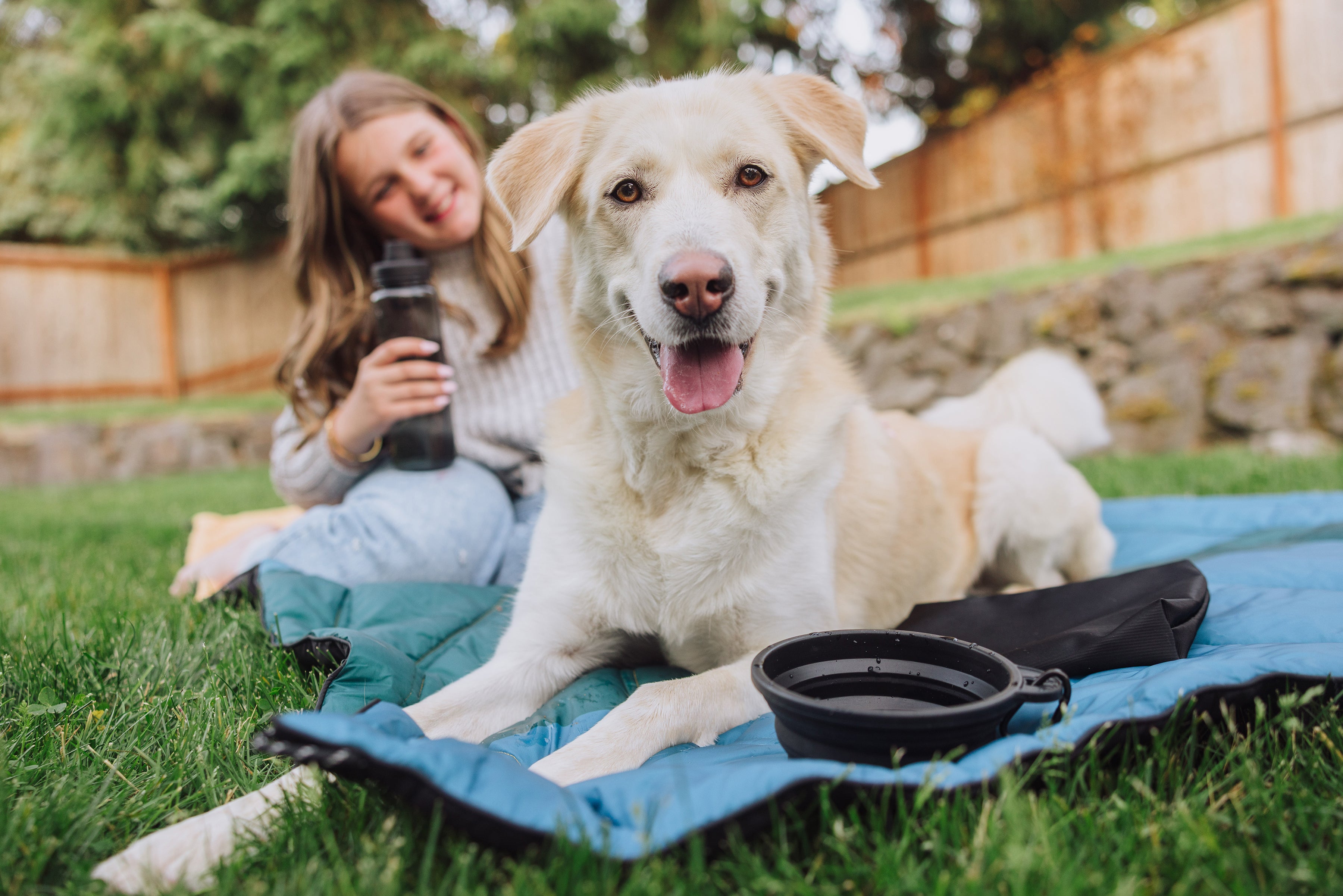 Tarana Dog Travel Kit