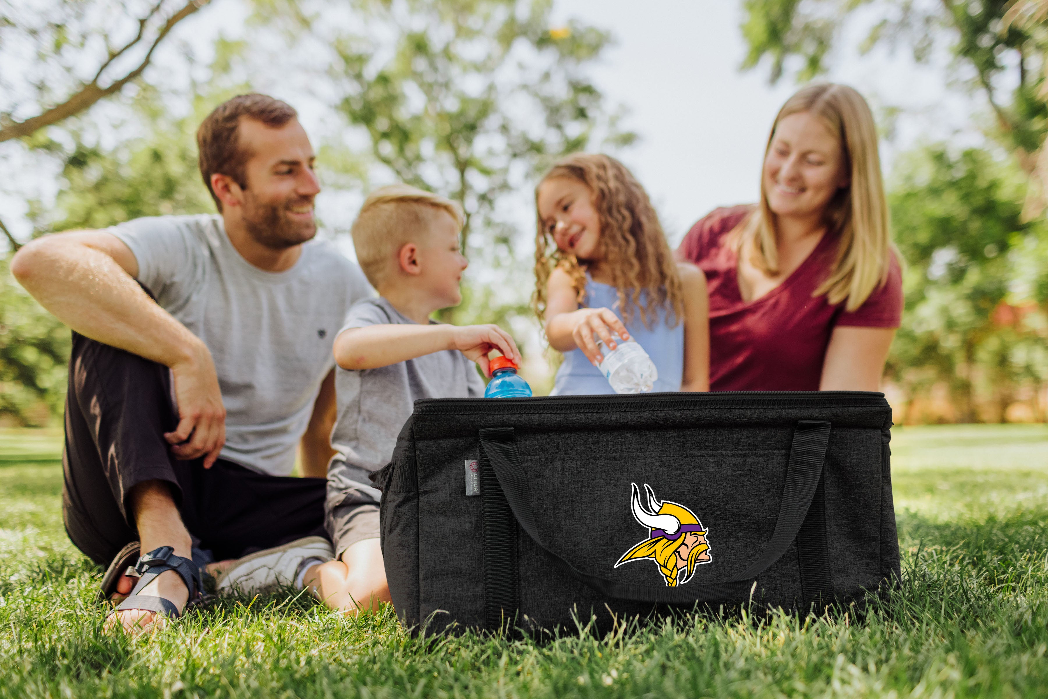 Minnesota Vikings - 64 Can Collapsible Cooler