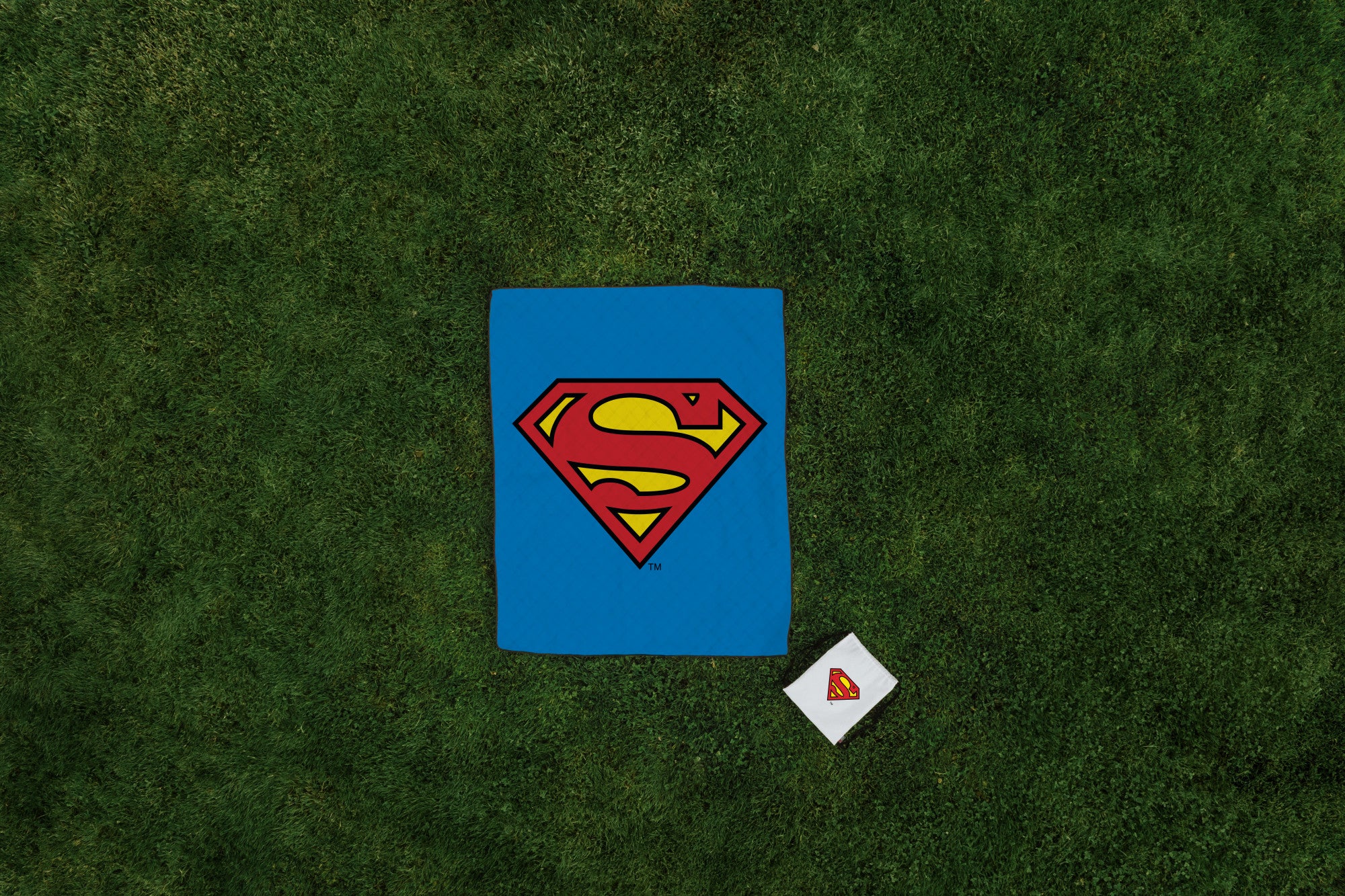 Superman - Impresa Picnic Blanket