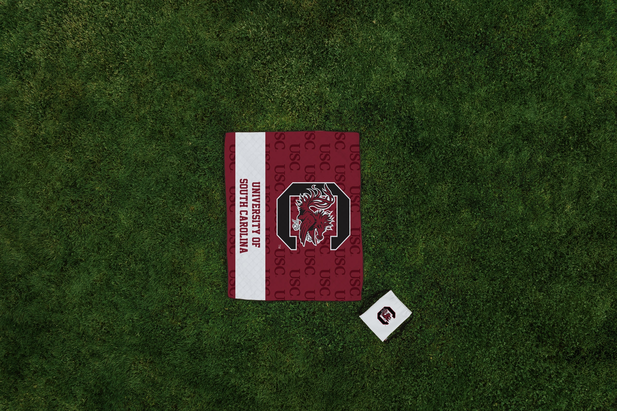 South Carolina Gamecocks - Impresa Picnic Blanket