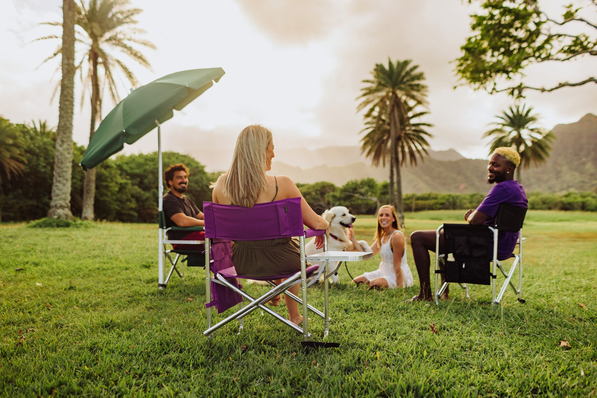 TCU Horned Frogs - Sports Chair