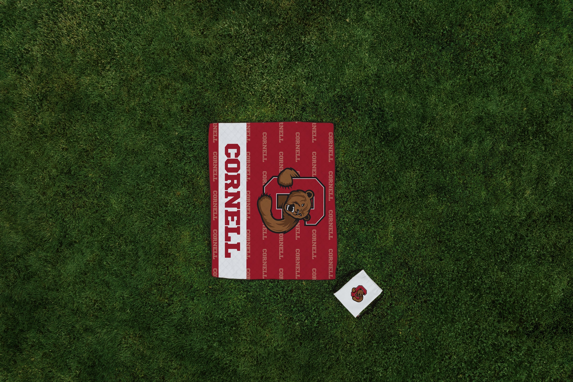 Cornell Big Red - Impresa Picnic Blanket