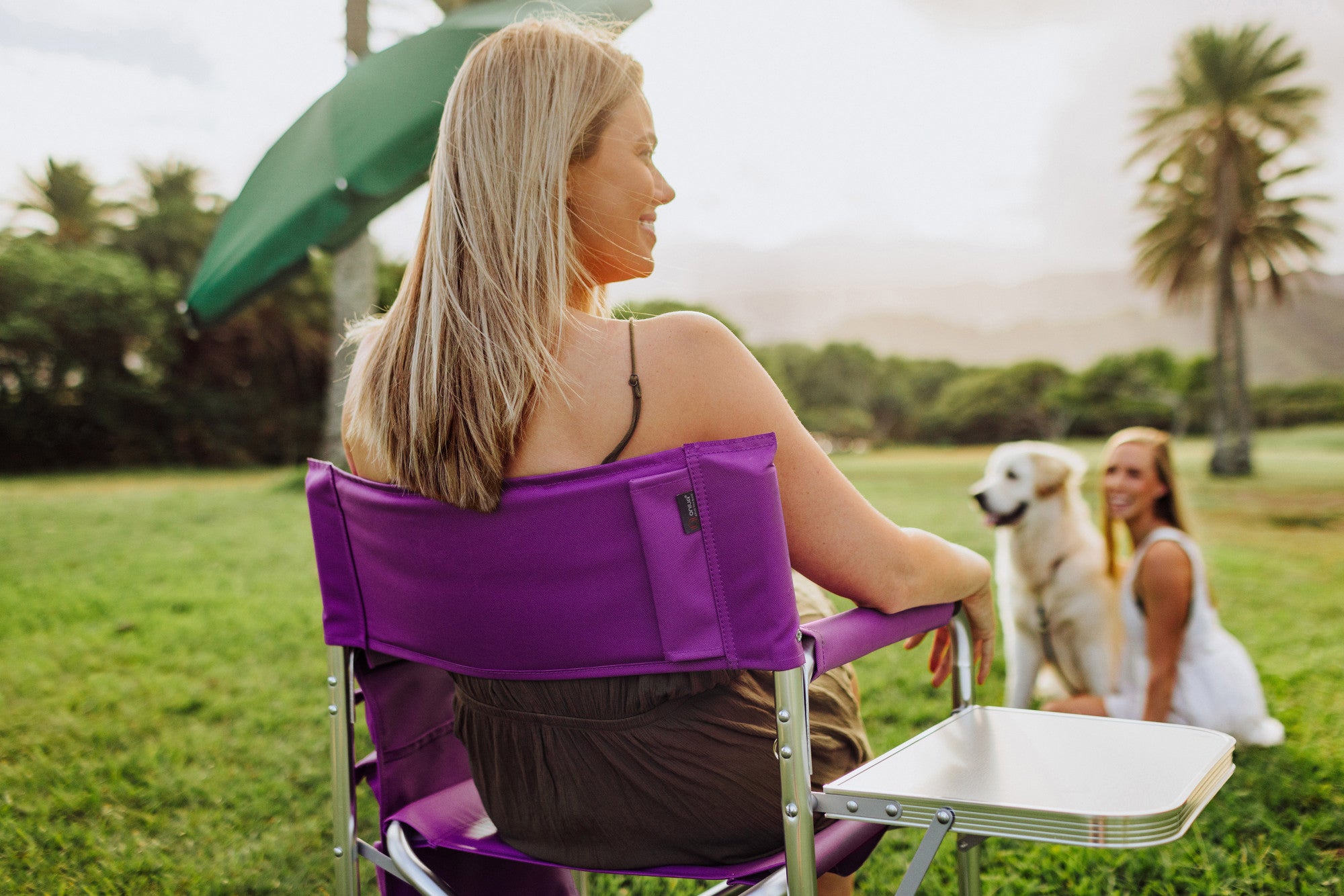 TCU Horned Frogs - Sports Chair