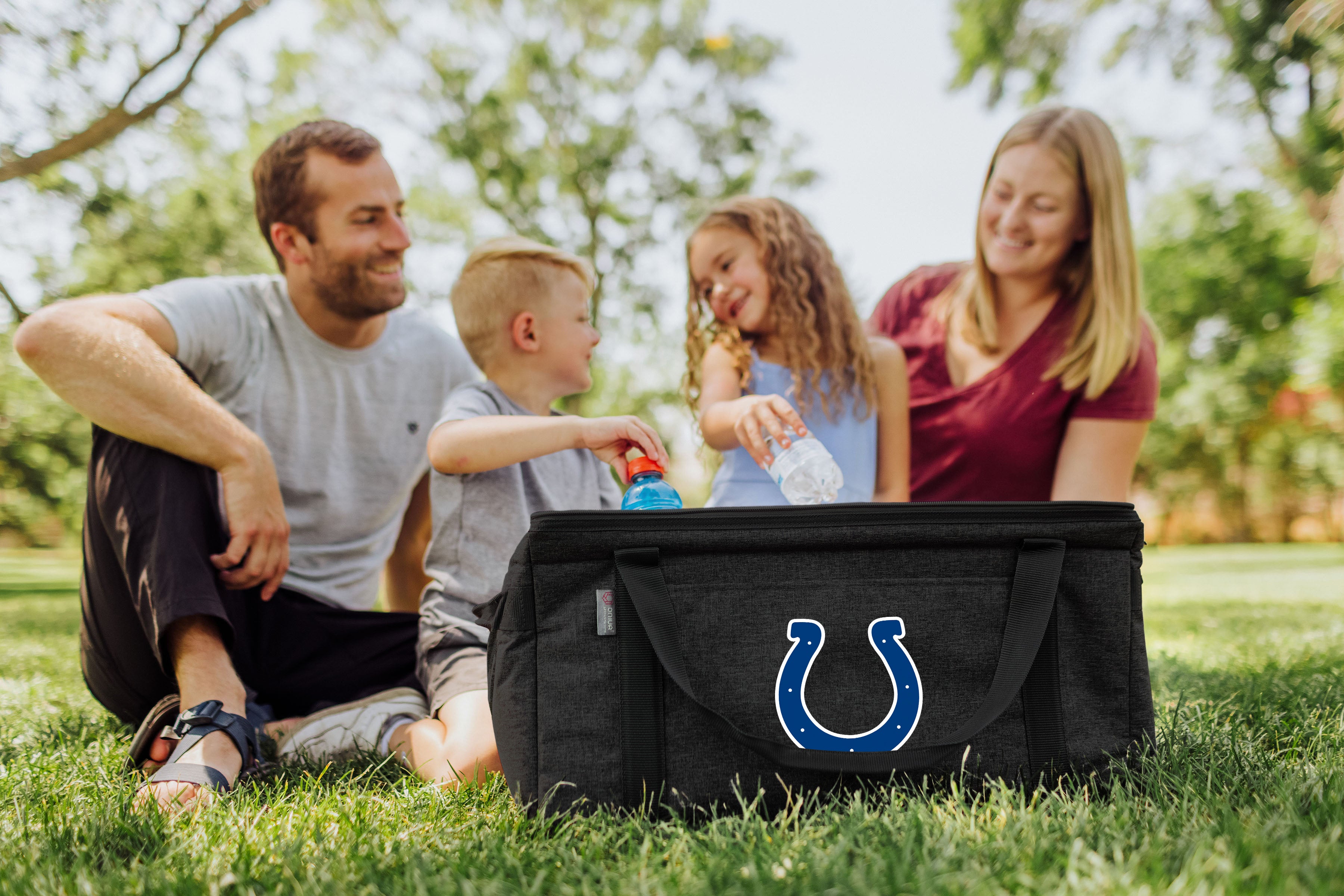 Indianapolis Colts - 64 Can Collapsible Cooler