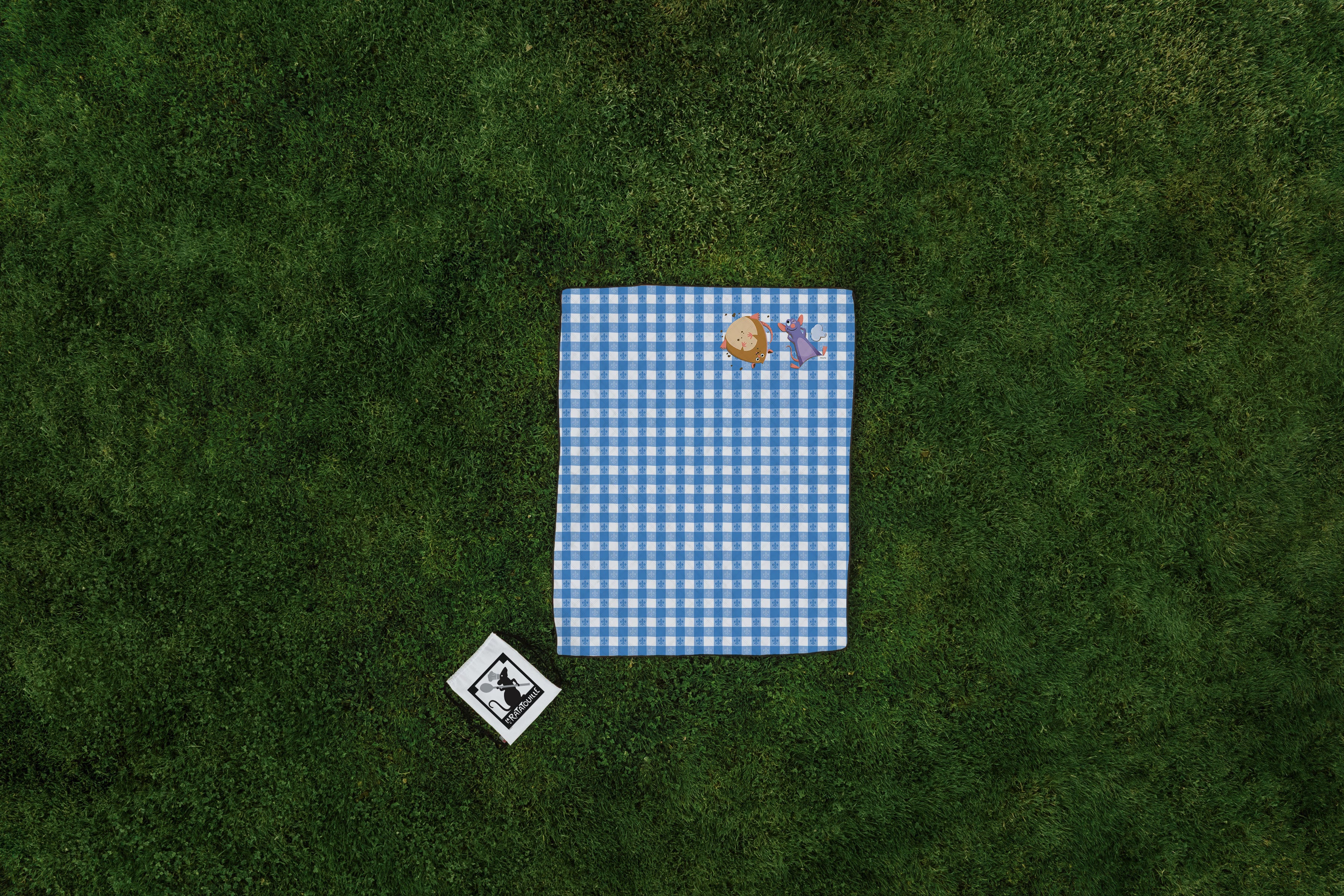 Ratatouille - Impresa Picnic Blanket