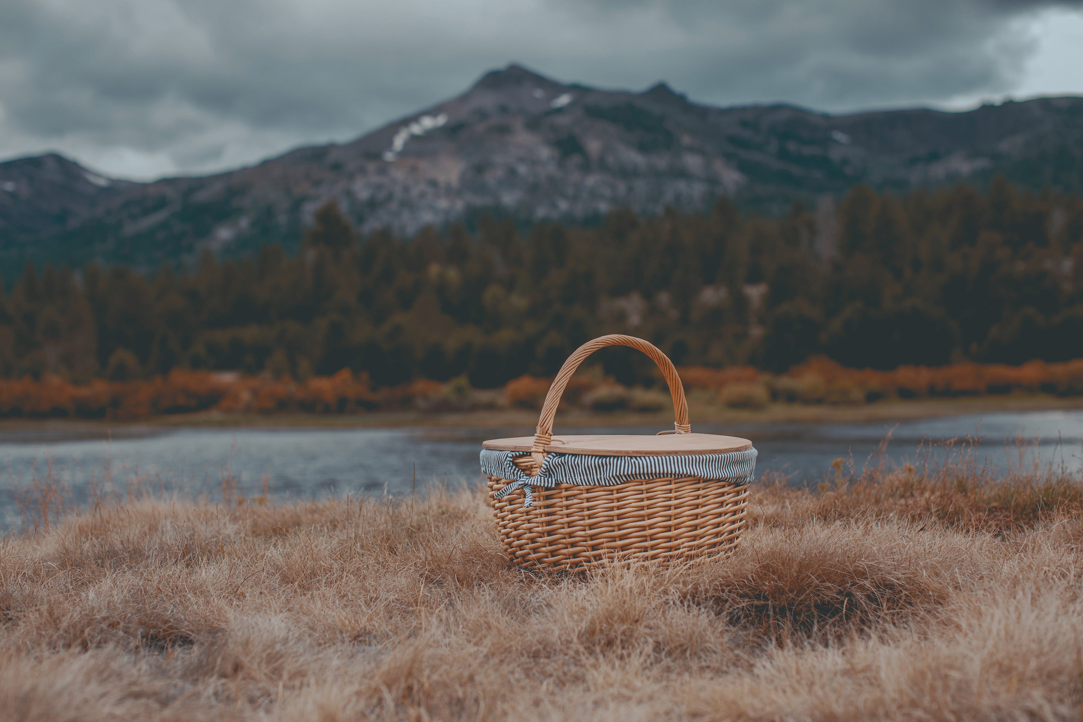 Country Picnic Basket