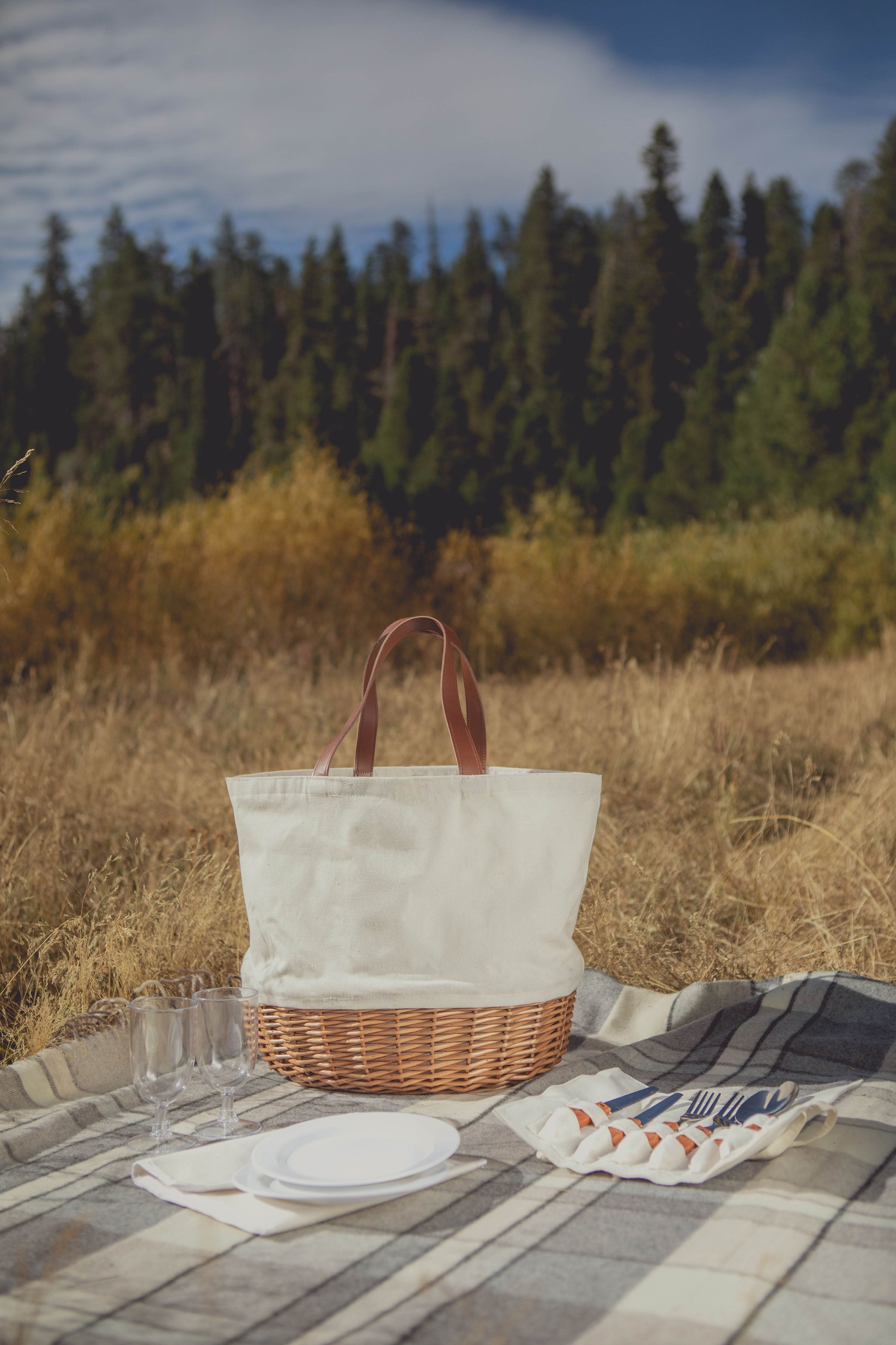 Colorado Rockies - Promenade Picnic Basket