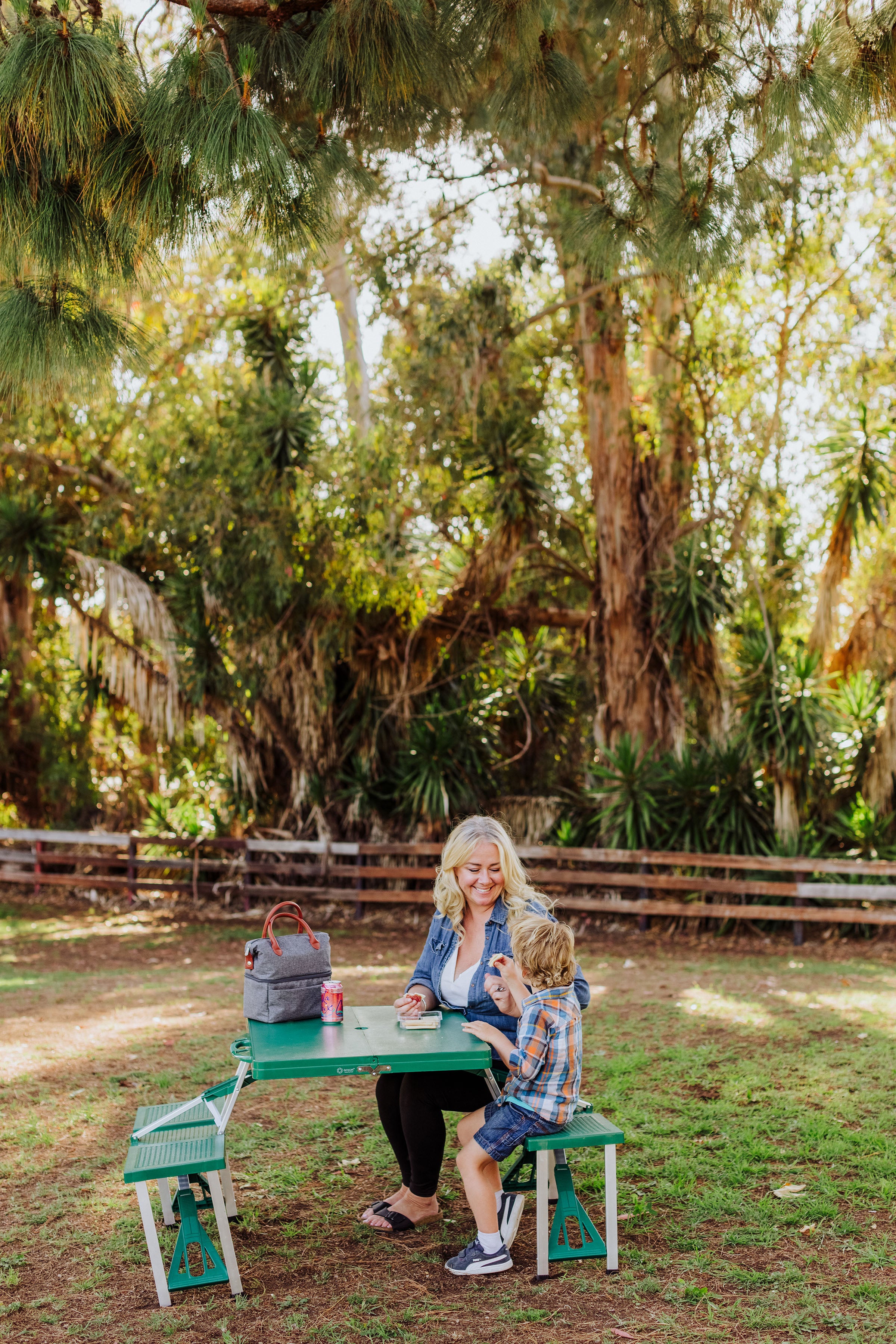 Colorado State Rams - Picnic Table Portable Folding Table with Seats