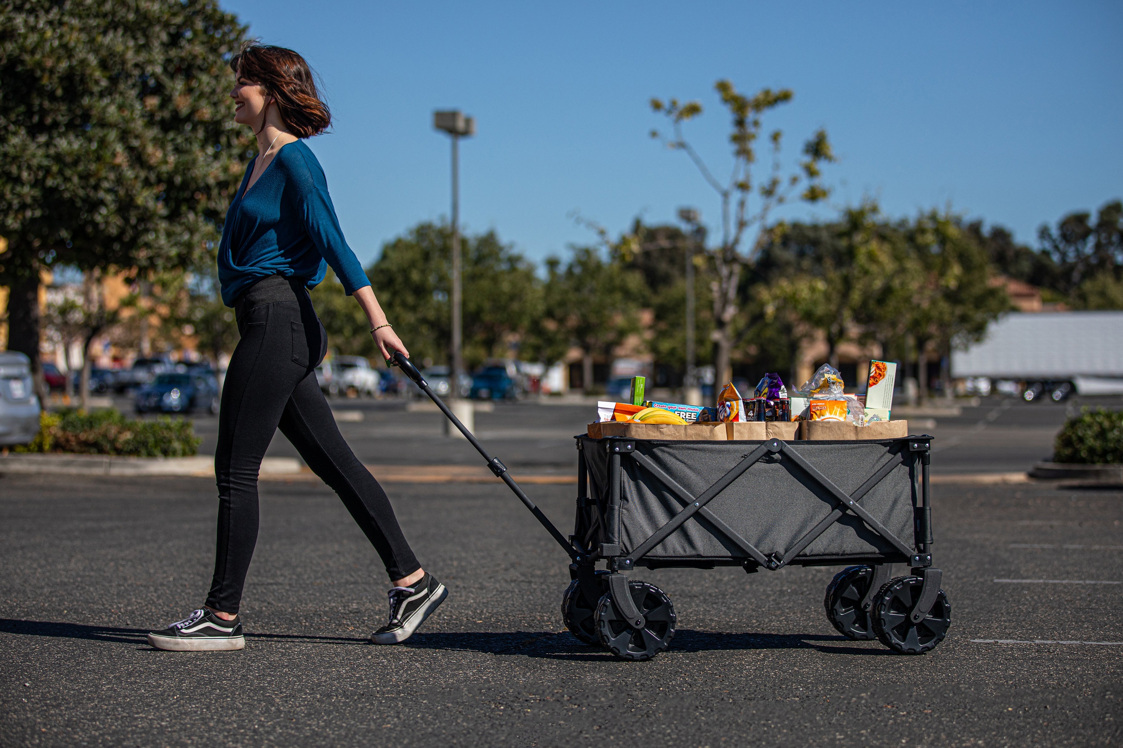 Adventure Wagon All-Terrain Portable Utility Wagon