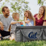 Cal Bears - 64 Can Collapsible Cooler