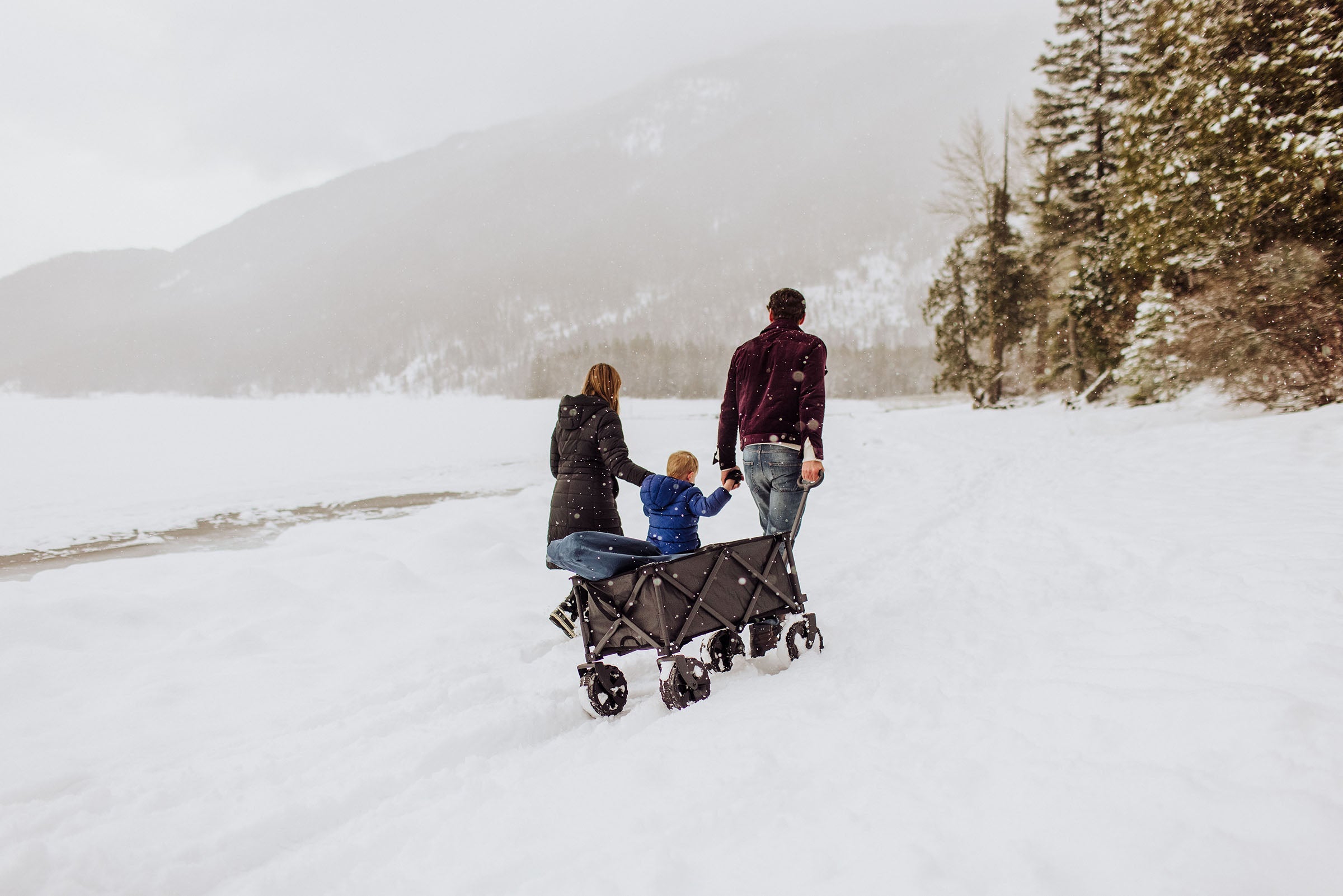 Adventure Wagon All-Terrain Portable Utility Wagon